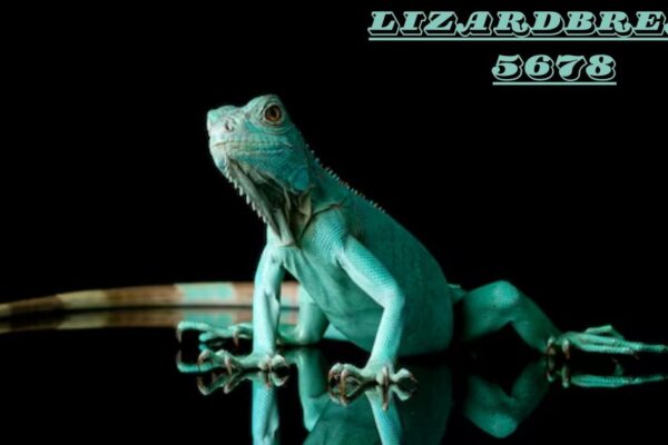 Lizardbreath5678