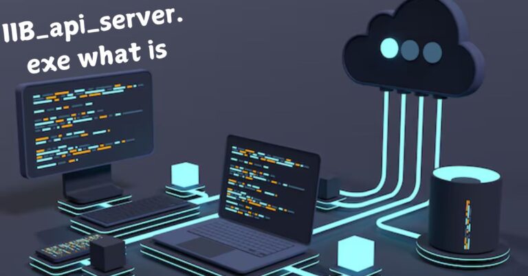 IIb_api_server.exe what is