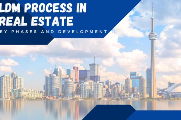 LDM Process in Real Estate